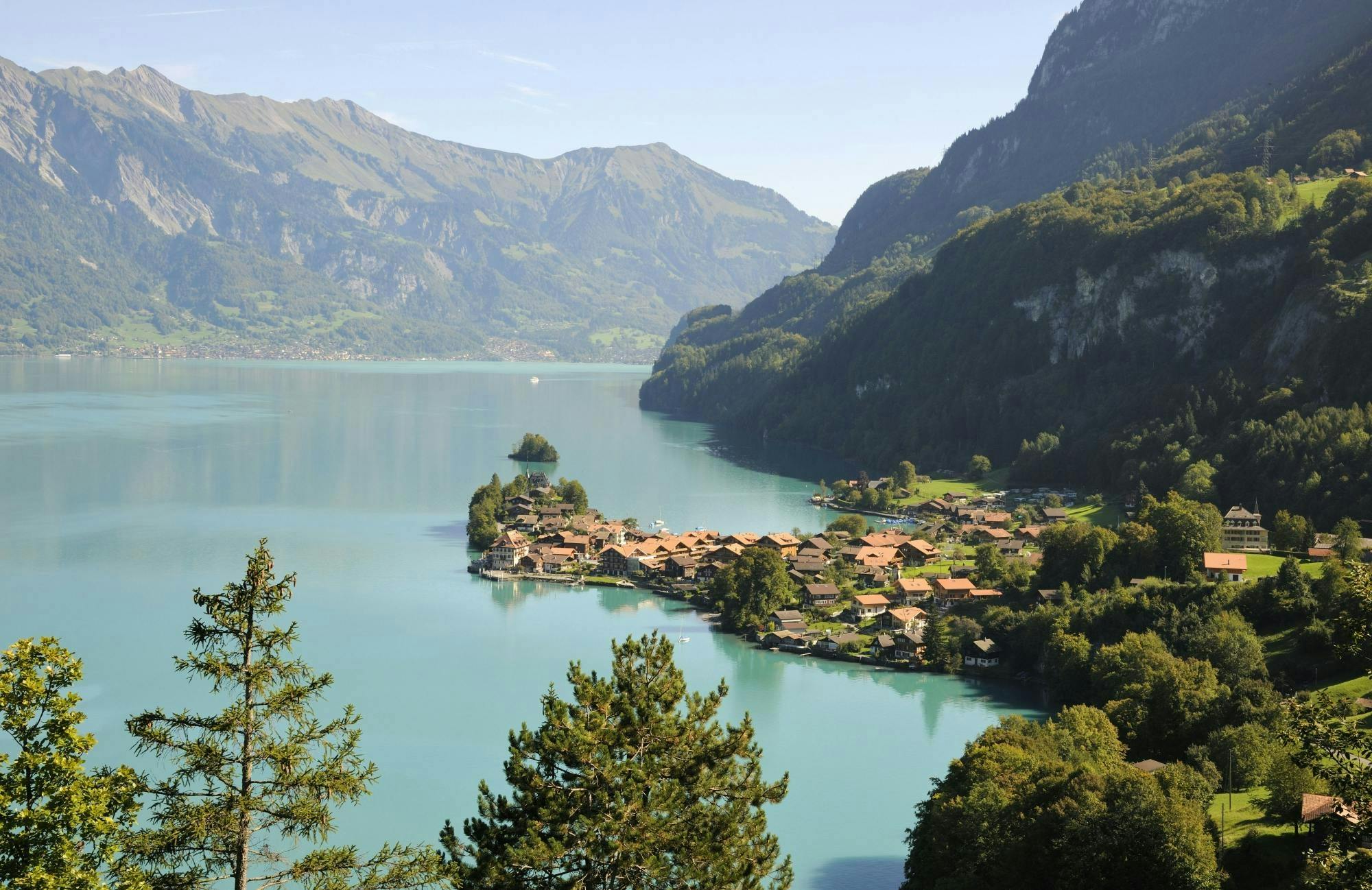 Full Day Bus Tour to Bernese Oberland and Interlaken from Zurich