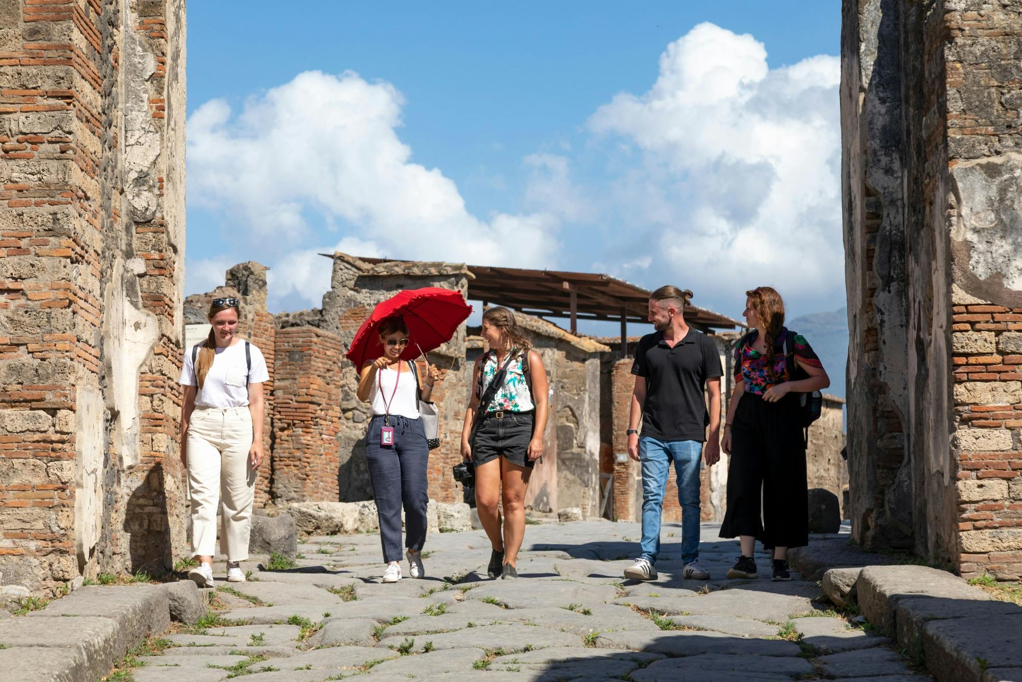 Nat Geo Day Tour: Una visita detallada sobre la antigua vida romana: Oplontis y Pompeya