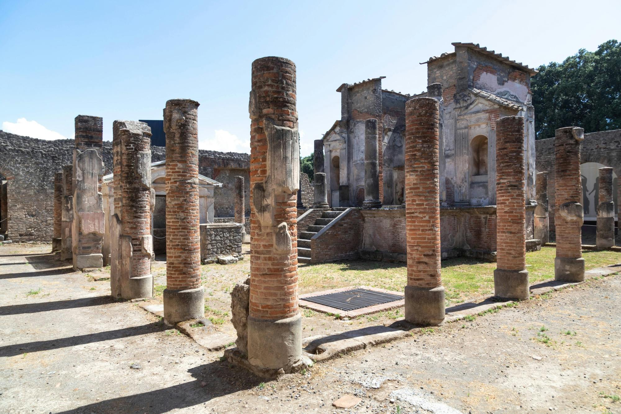 Nat Geo Day Tour - A Deep Dive into Ancient Roman Life:  Pompeii & Oplontis