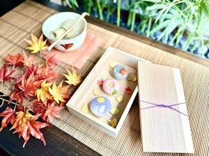 Wagashi Making Classes in Tokyo