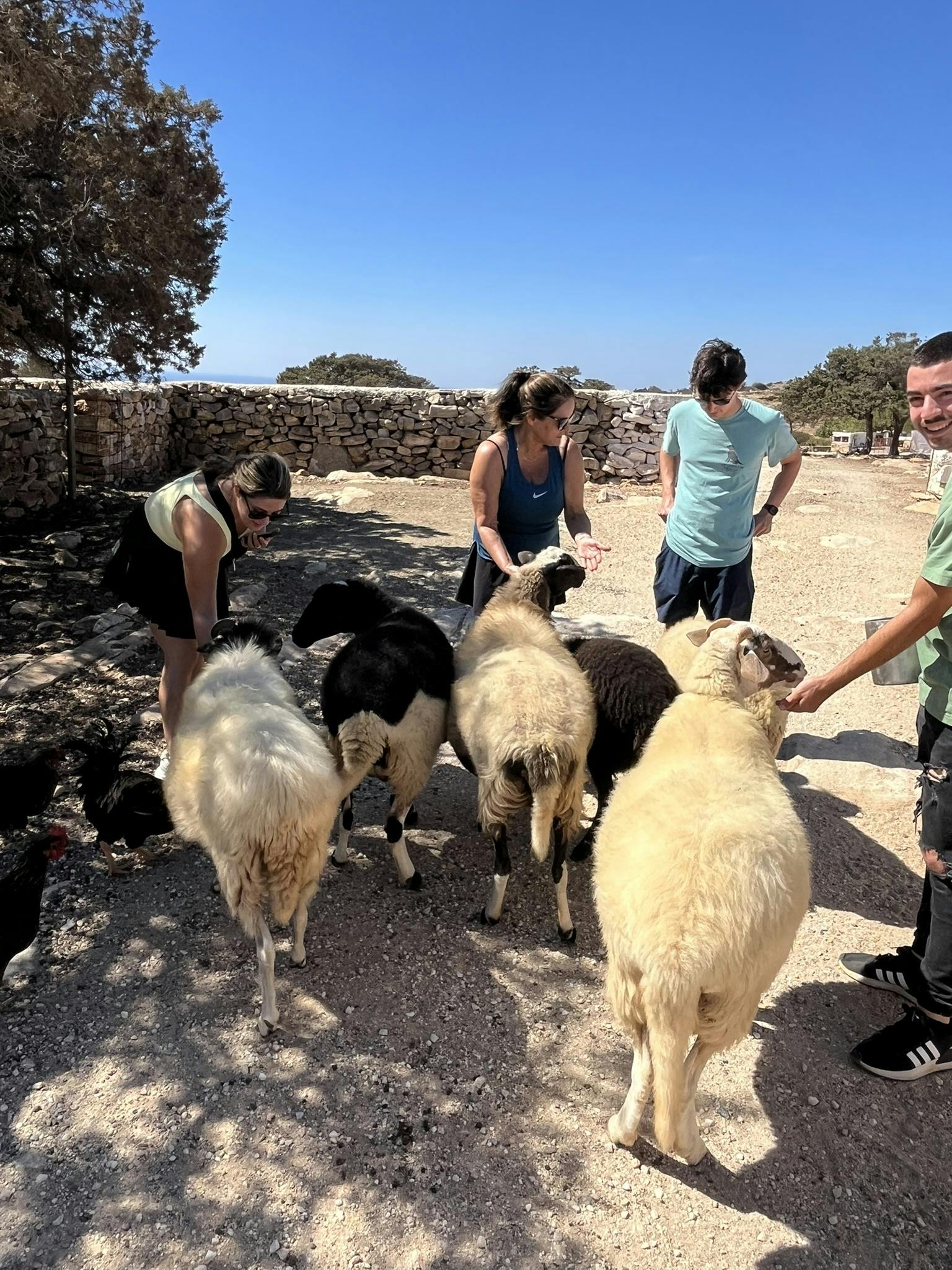 Tour en bicicleta eléctrica por Naxos con clase de cocina