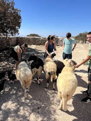 Naxos image