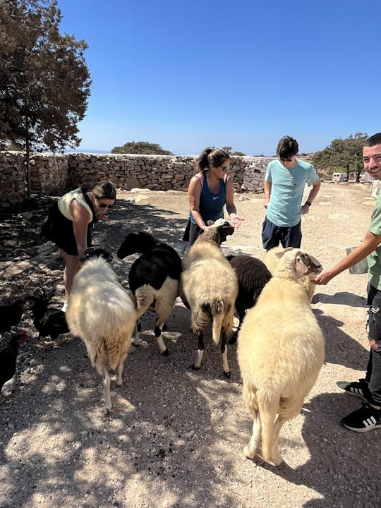 Naxos E-Bike-Tour mit Kochkurs