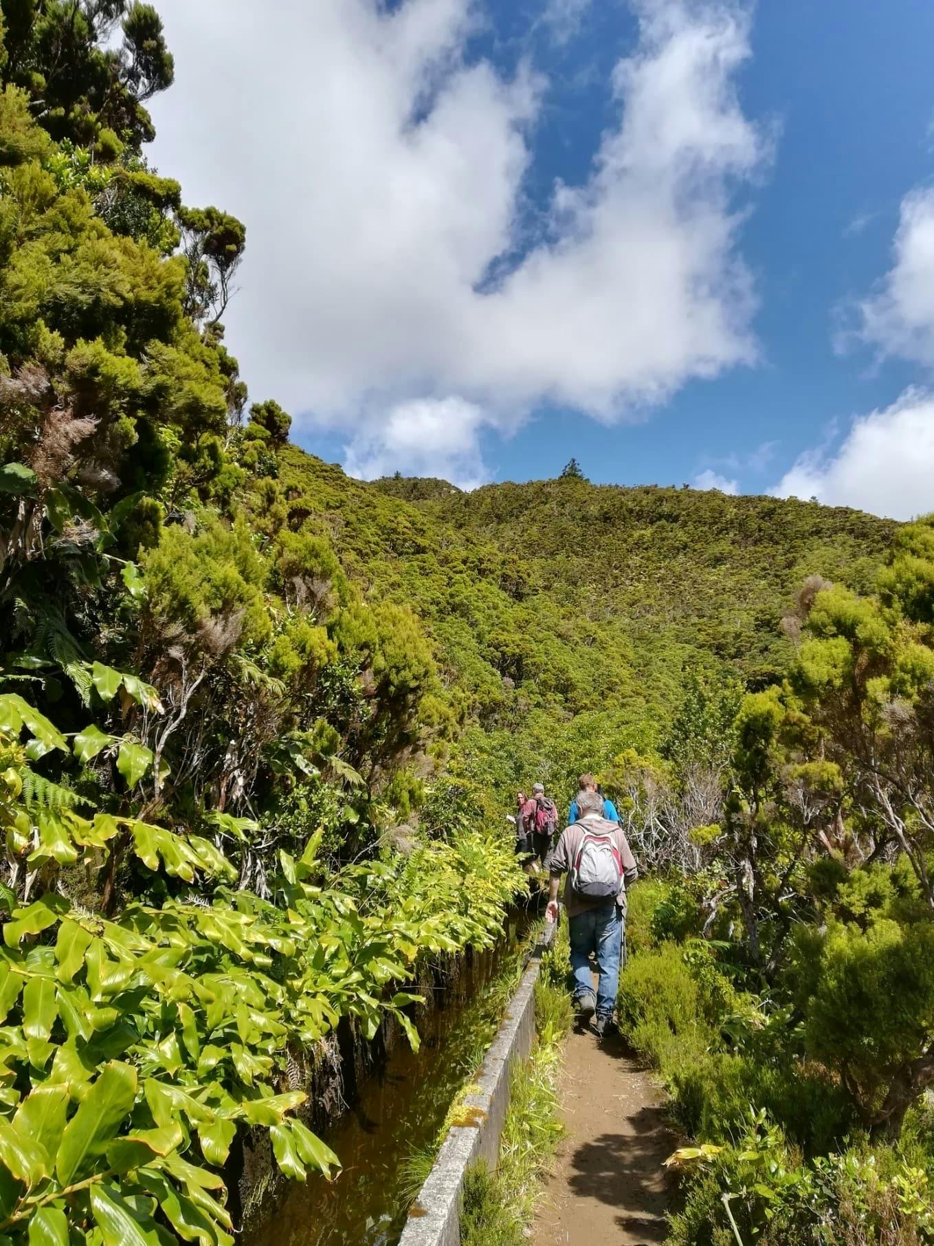 Pico da Vara Hiking Tour