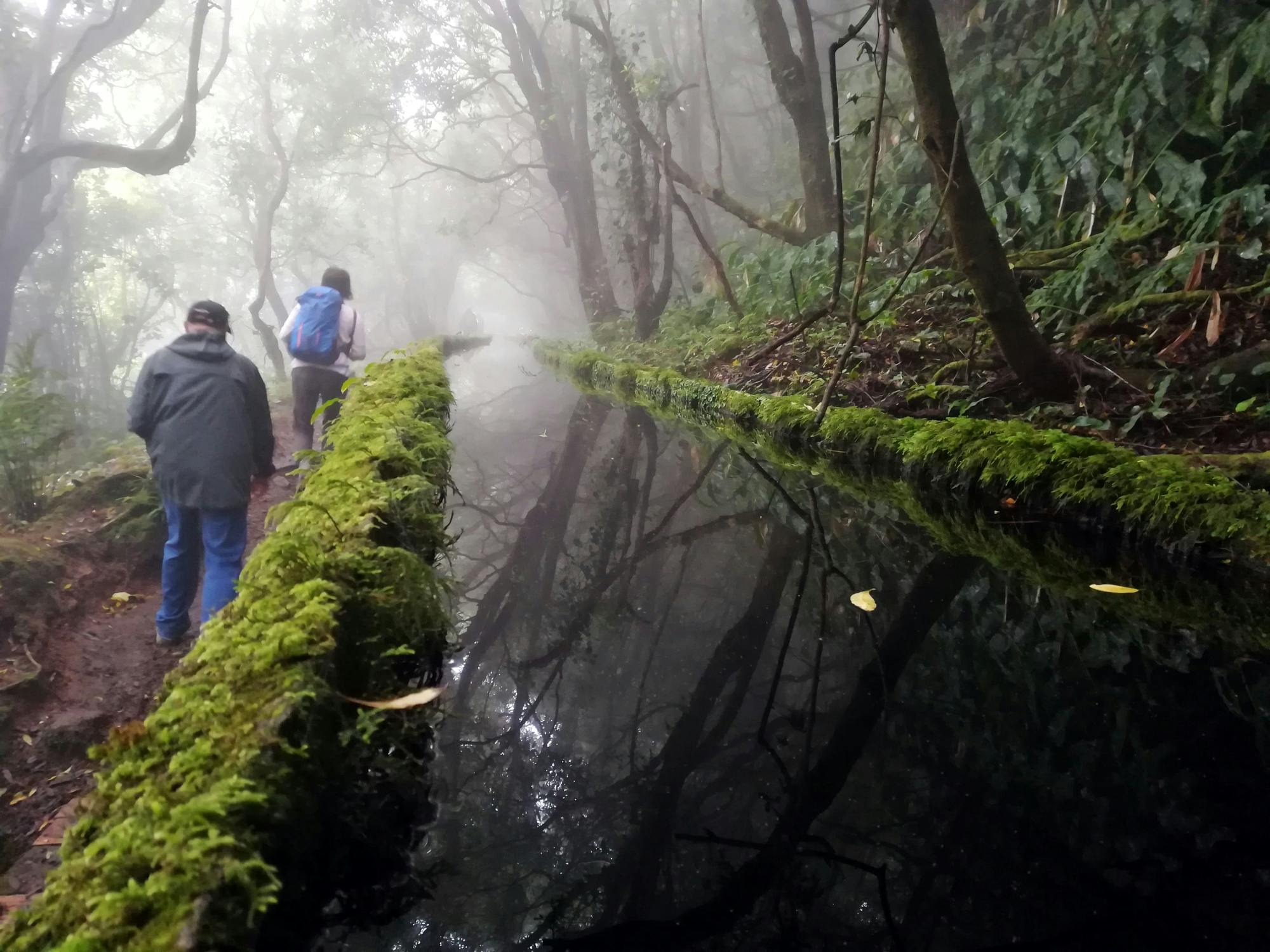 Pico da Vara Hiking Tour