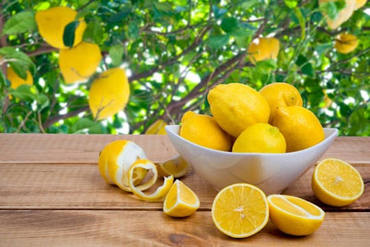 Meisterkurs zur Limoncello-Herstellung in Rom mit Keepsake