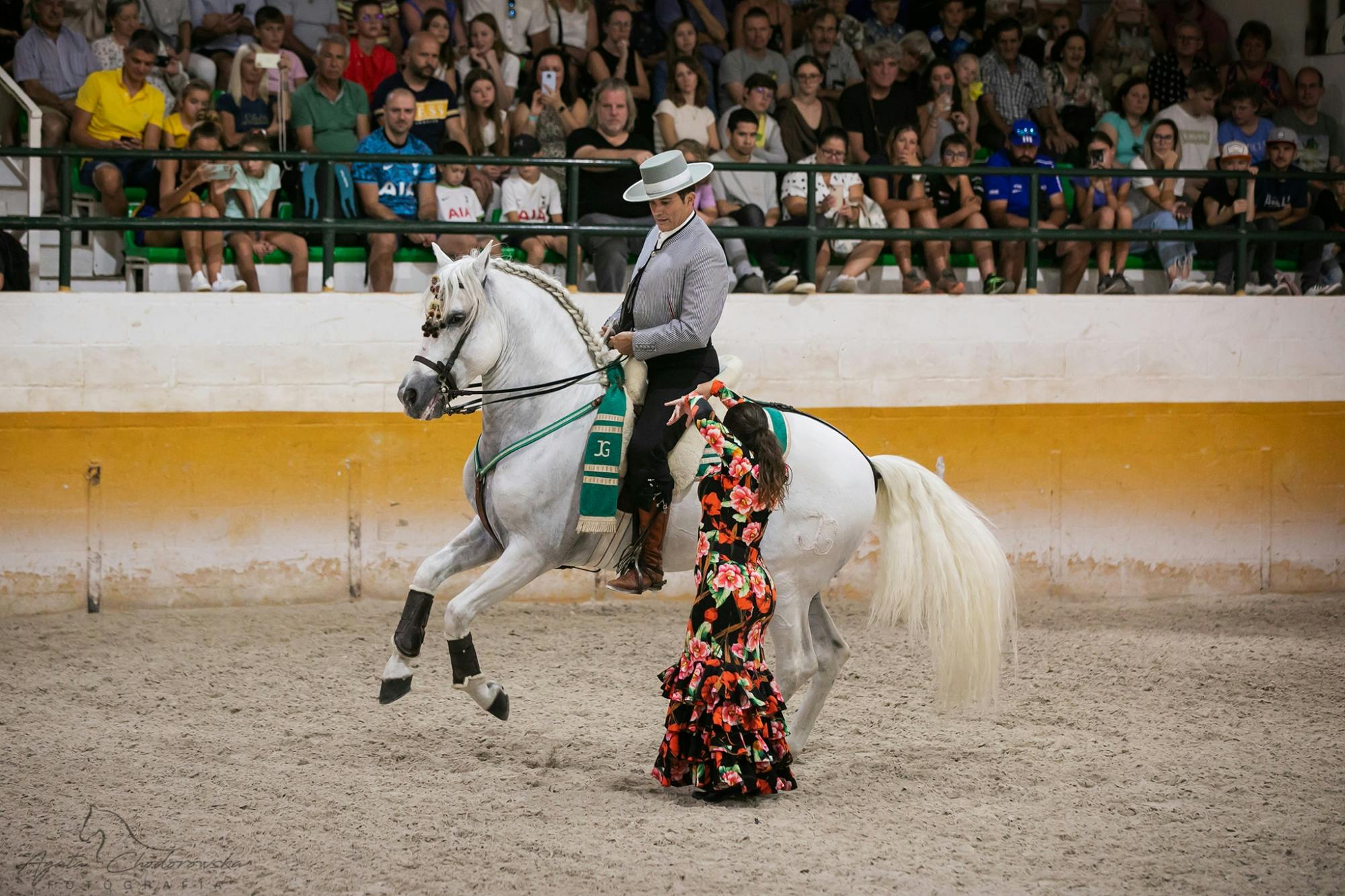 Andalusische paardenflamencoshow in Torremolinos