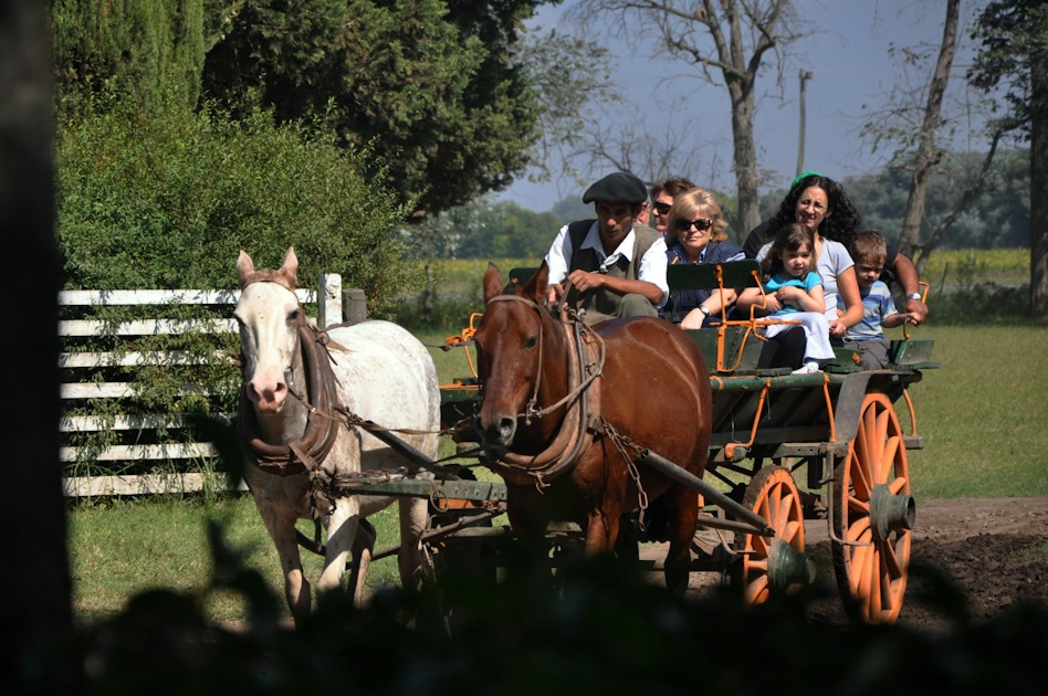 Gaucho Experience on the Don Silvano Ranch from Buenos Aires | musement