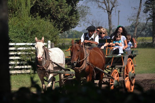 Experiencia Gaucha en la Estancia Don Silvano desde Buenos Aires