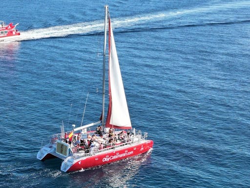 Freebird Catamaran to Lobos Island