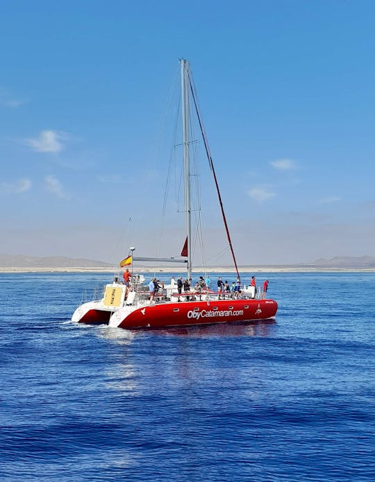 Catamarán Freebird a la Isla de Lobos