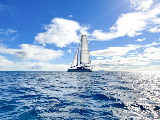 Crucero VIP en catamarán por Madeira en Luna