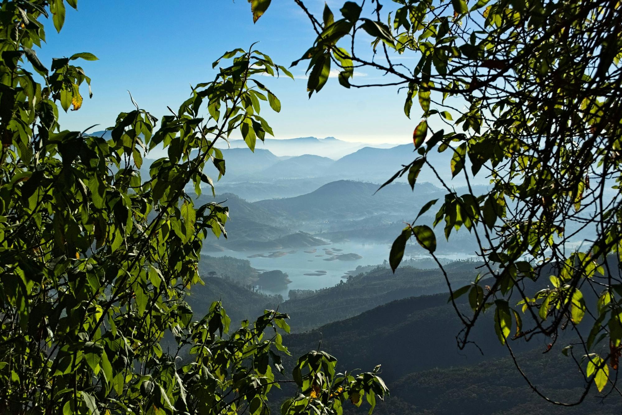 Adam's Peak Two-day Tour with Sunrise Hike