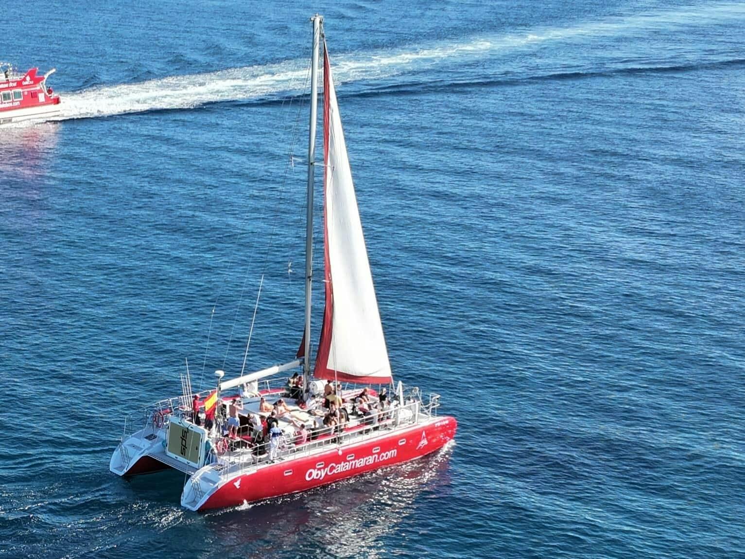 Freebird Catamaran to Lobos Island