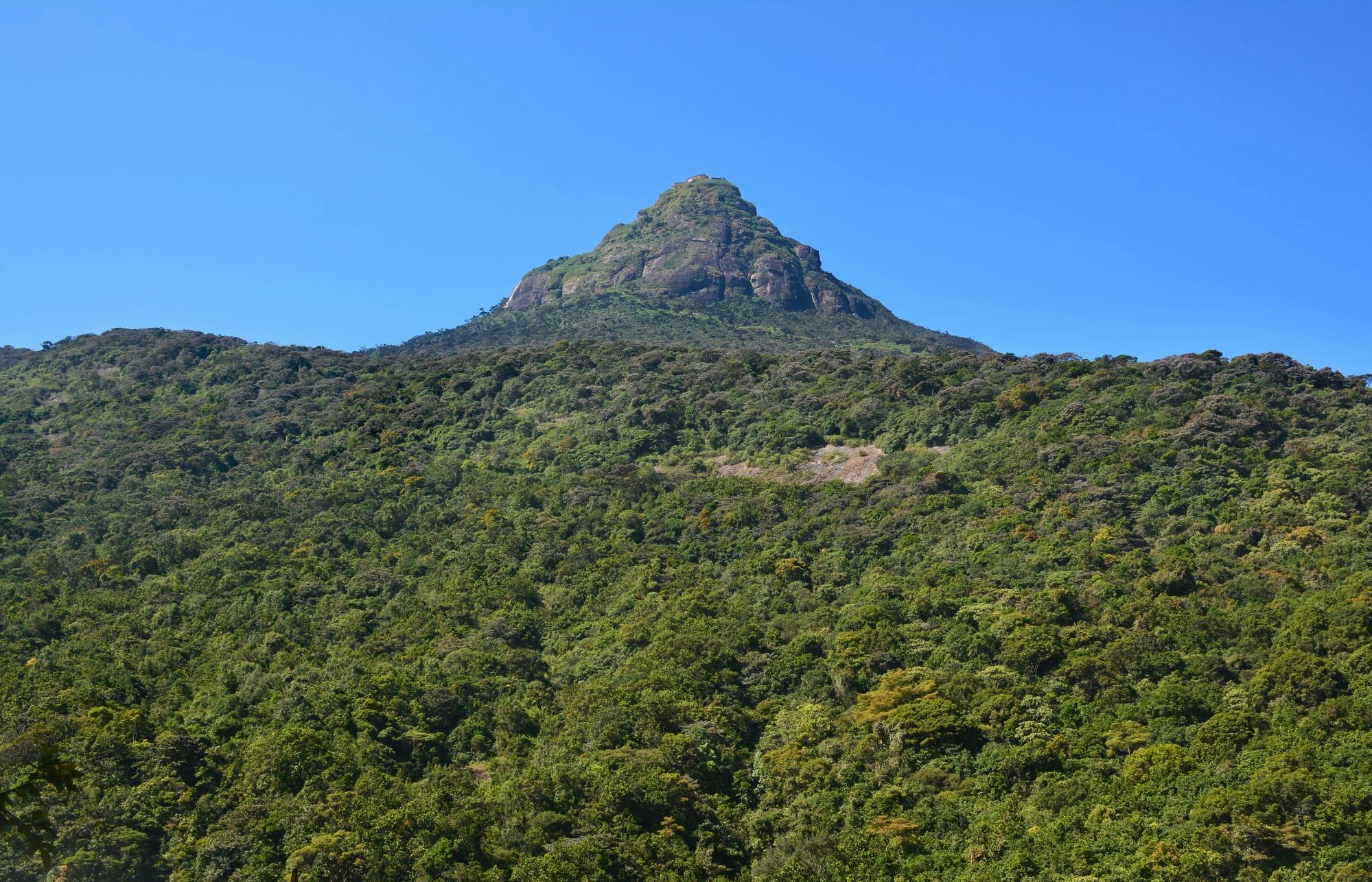 Adam's Peak Two-day Tour with Sunrise Hike