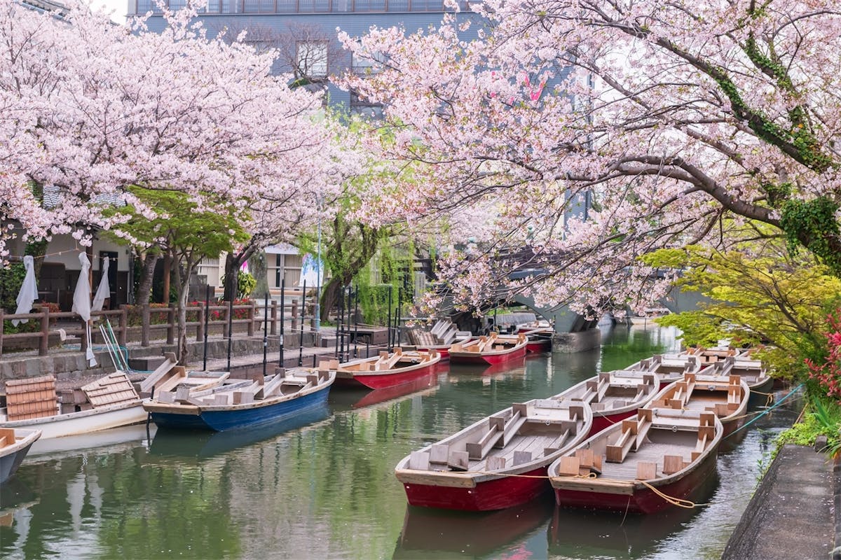 Aardbeien plukken, Yanagawa Cruise, Saga History Tour vanuit Fukuoka