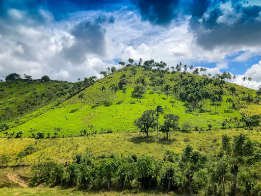 Bayaguana Explorer Tour