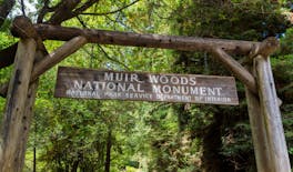 Muir Woods National Monument: zelfgeleide wandel- en autotocht