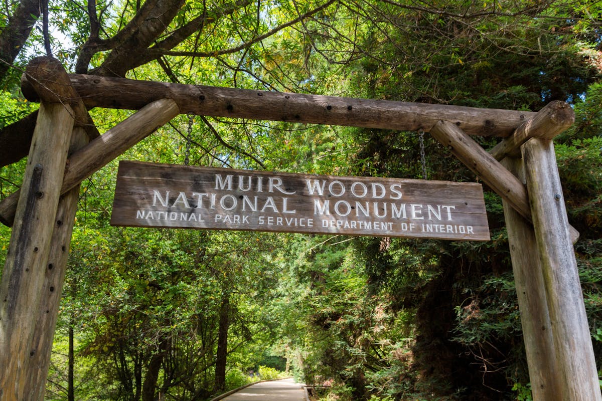 Muir Woods Nationaal Monument: Zelf begeleide wandel- en autorondleiding