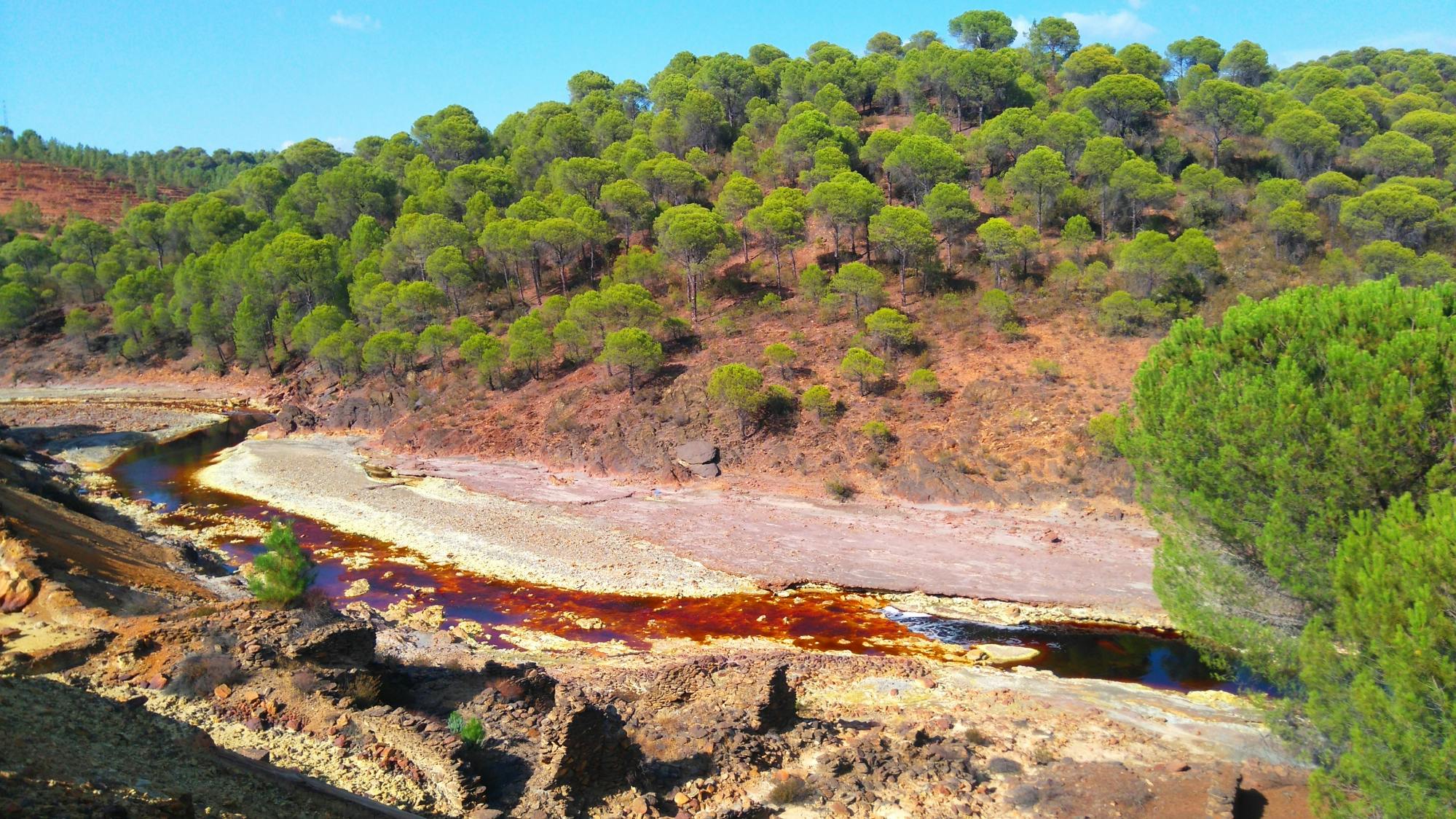 Excursion d'une journée aux mines d'Aracena et de Riotinto depuis Séville