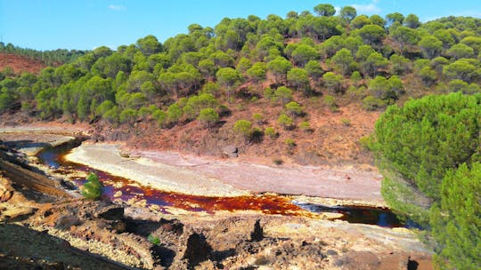 Excursão diurna às minas de Aracena e Riotinto saindo de Sevilha