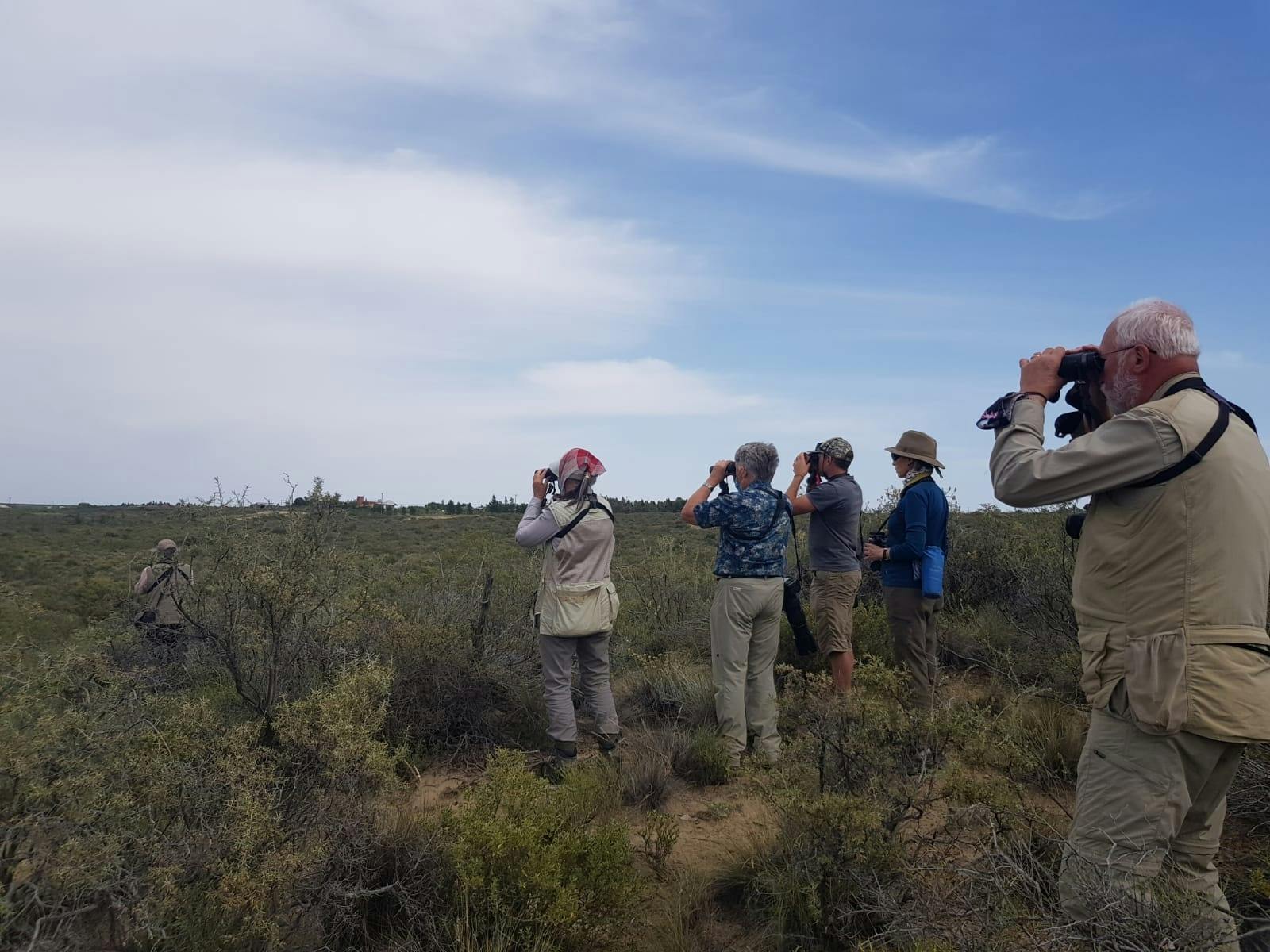 Full-day Excursion to Peninsula Valdes from Puerto Madryn