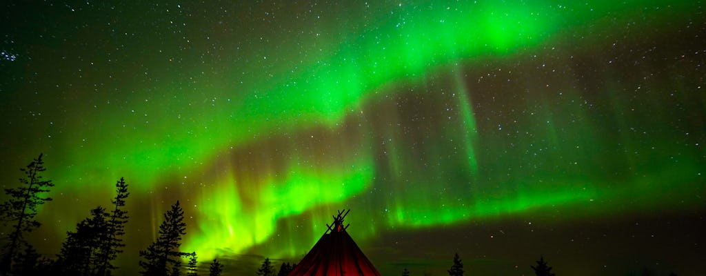 Nordlicht-Wildnistour mit professioneller Kamera
