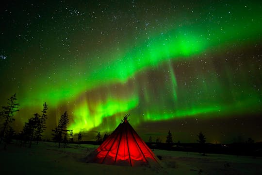 Excursão pelo deserto da aurora boreal com câmera profissional