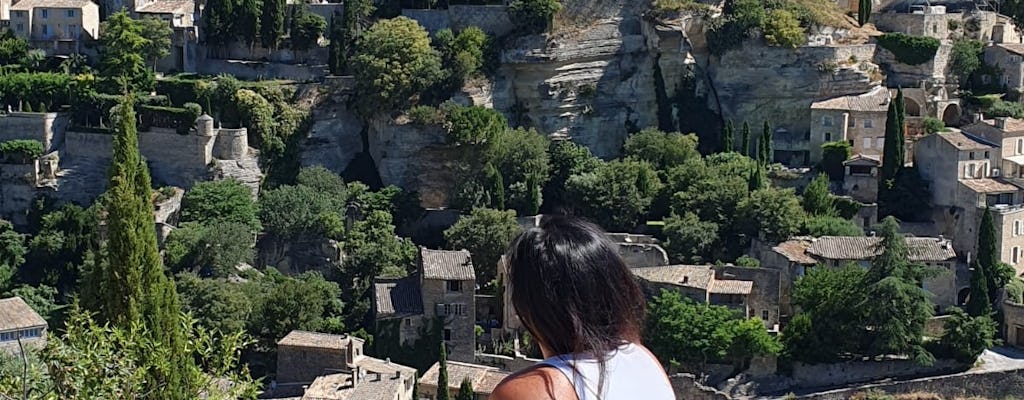 Het beste van Luberon in één middag vanuit Avignon