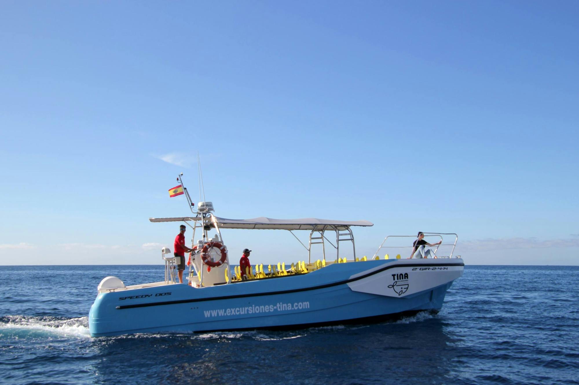 La Gomera Whale Watching Cruise from San Sebastian