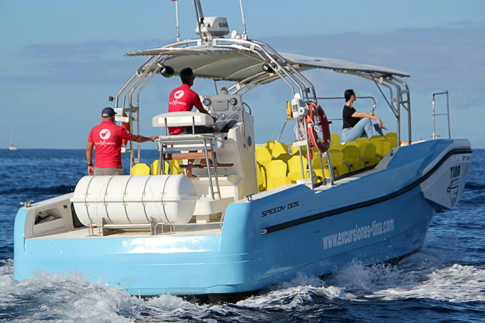 La Gomera Whale Watching Cruise from San Sebastian