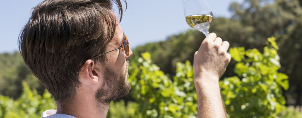 Ochtendwijntour naar Chateauneuf du Pape vanuit Avignon