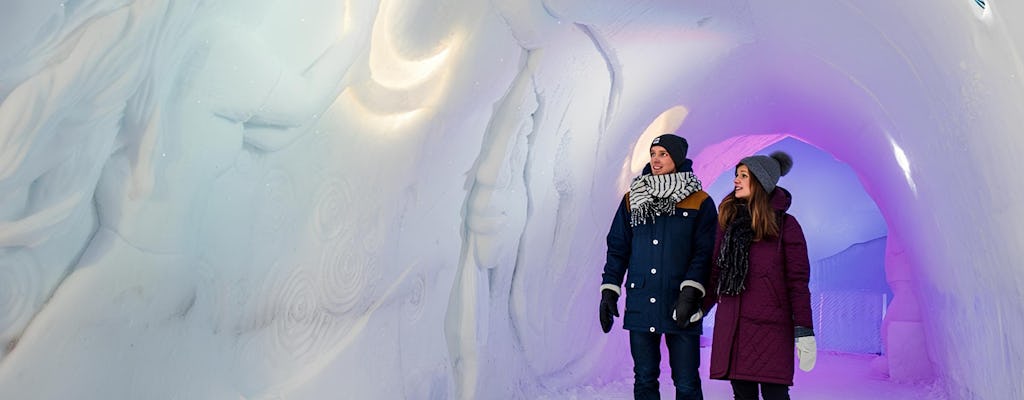 Arctic SnowHotel-Führung mit Abendessen