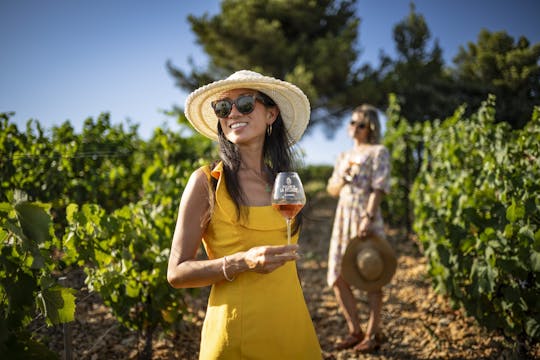 Small-group wine tour of Provence from Nice