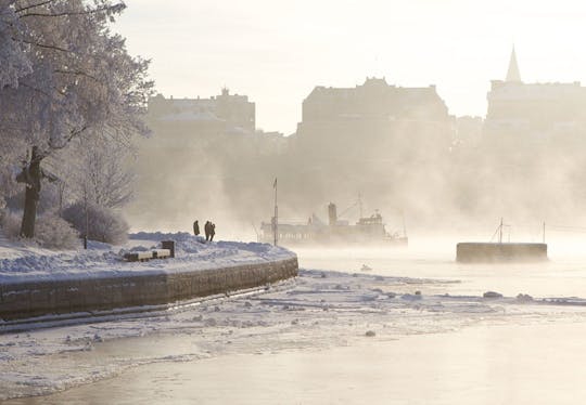 Stockholm Archipelago Winter Boat Tour with Guide