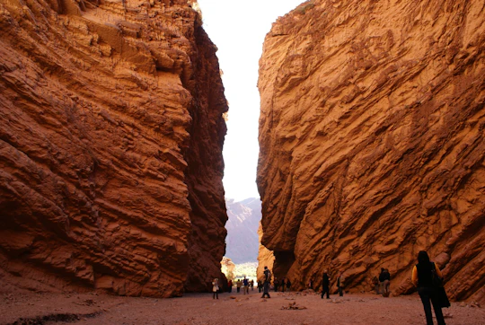 Cafayate full-day excursion with wine tasting from Salta