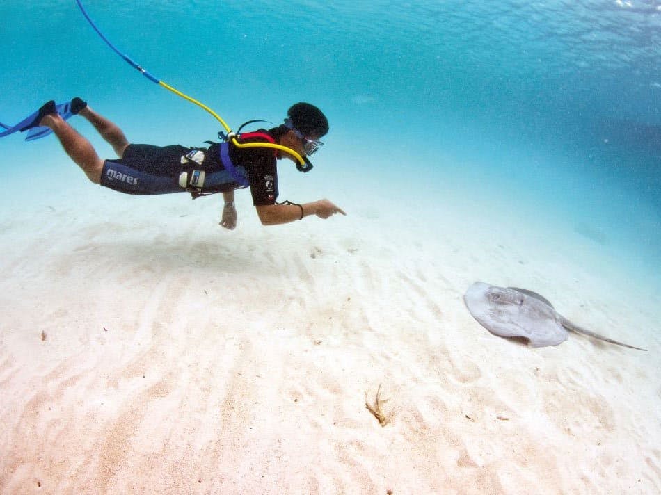 Snorkelling Peterdiving Experience