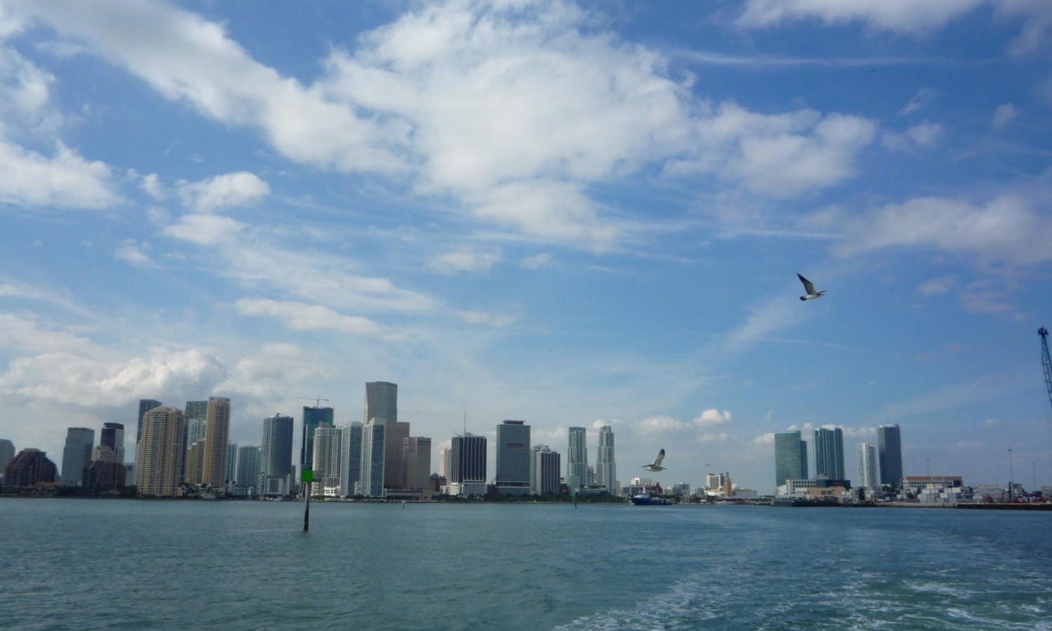 miami - biscayne bay - tour - skyline.jpg