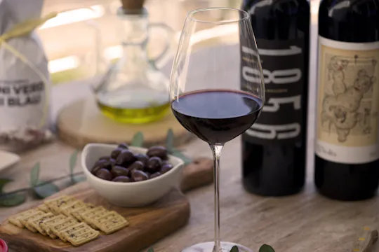 Esperienza di degustazione di vini nella storica cantina di Palma