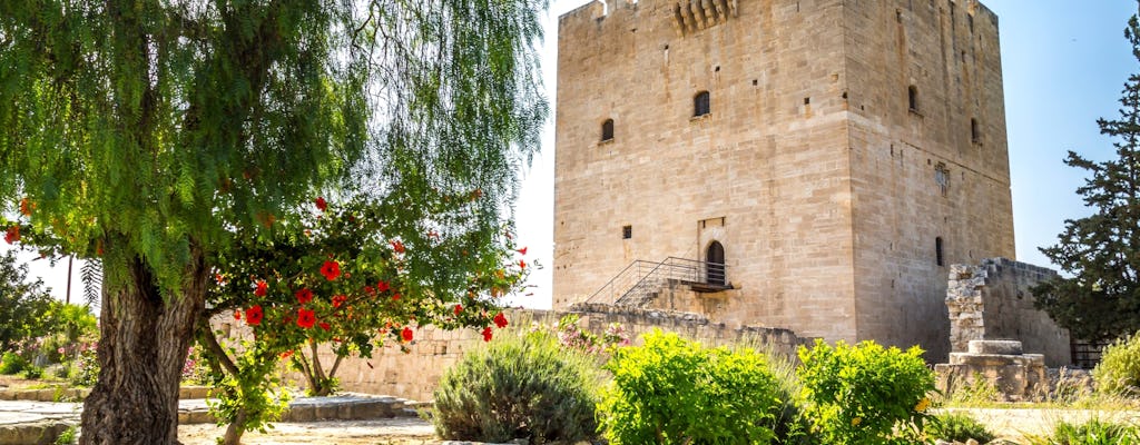Kourion Ruins, Kolossi Castle and winery visit from Paphos