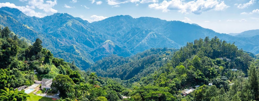 Kingston und Blue Mountains Tour