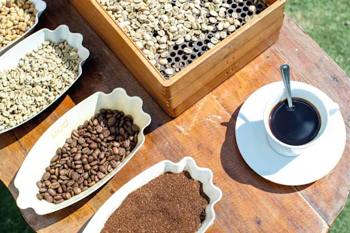 Kingston & Blue Mountains Private Tour