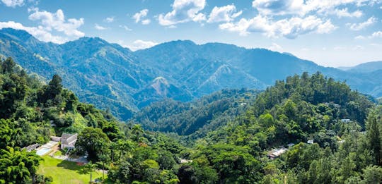 Excursión a Kingston y las Montañas Azules con el Museo de Bob Marley