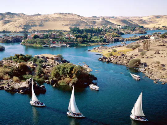 Lo mejor de Asuán y visita guiada al templo de Edfu con almuerzo nubio desde Luxor