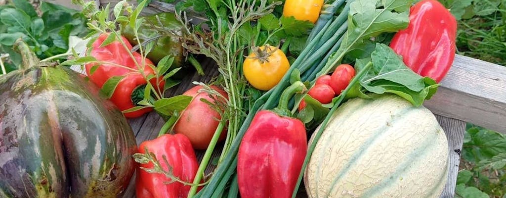 4-stündige nachhaltige Farmtour in Süd-Heraklion