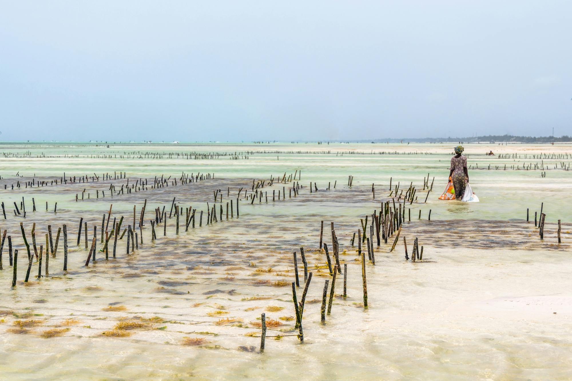 Privétour om mensen en cultuur te ontdekken vanuit The Mora Zanzibar