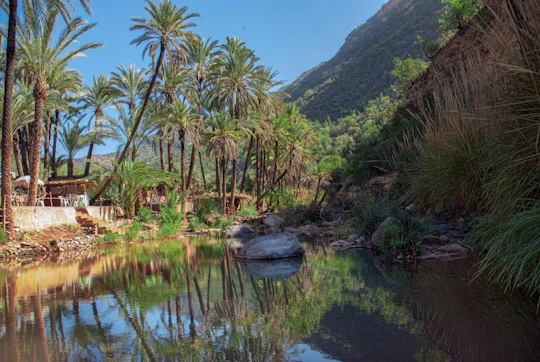 Half-Day Economic Tour of Paradise Valley from Agadir and Taghazout