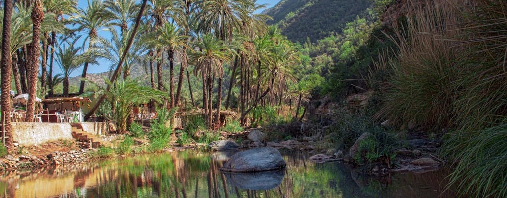 Half-Day Economic Tour of Paradise Valley from Agadir and Taghazout