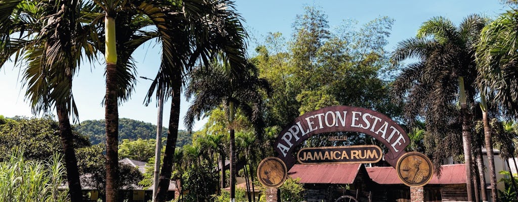 Appleton Rum tasting, YS Falls and Pelican Bar tour