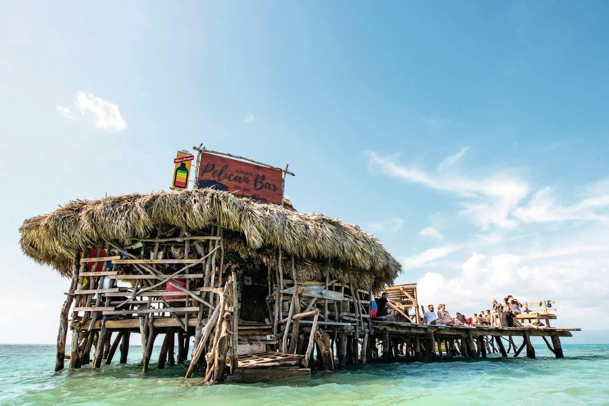 Appleton Rum, YS Falls and Pelican Bar private tour
